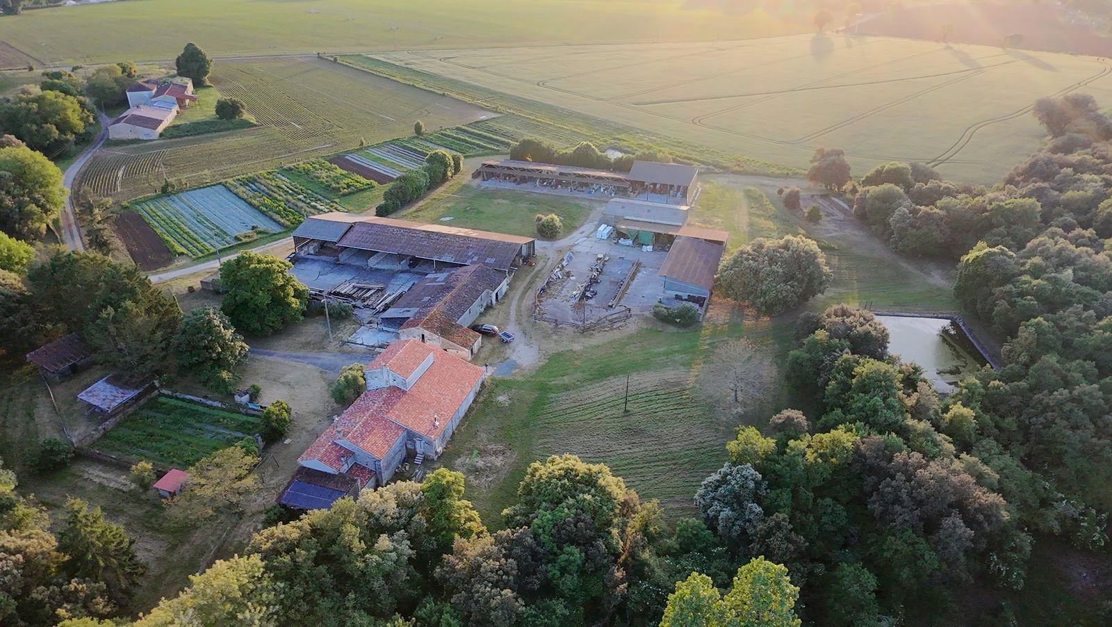Aerial view of La Vauzelle: the farm buildings, the vegetable garden, the market-garden plots, the holm oak wood and the pond.